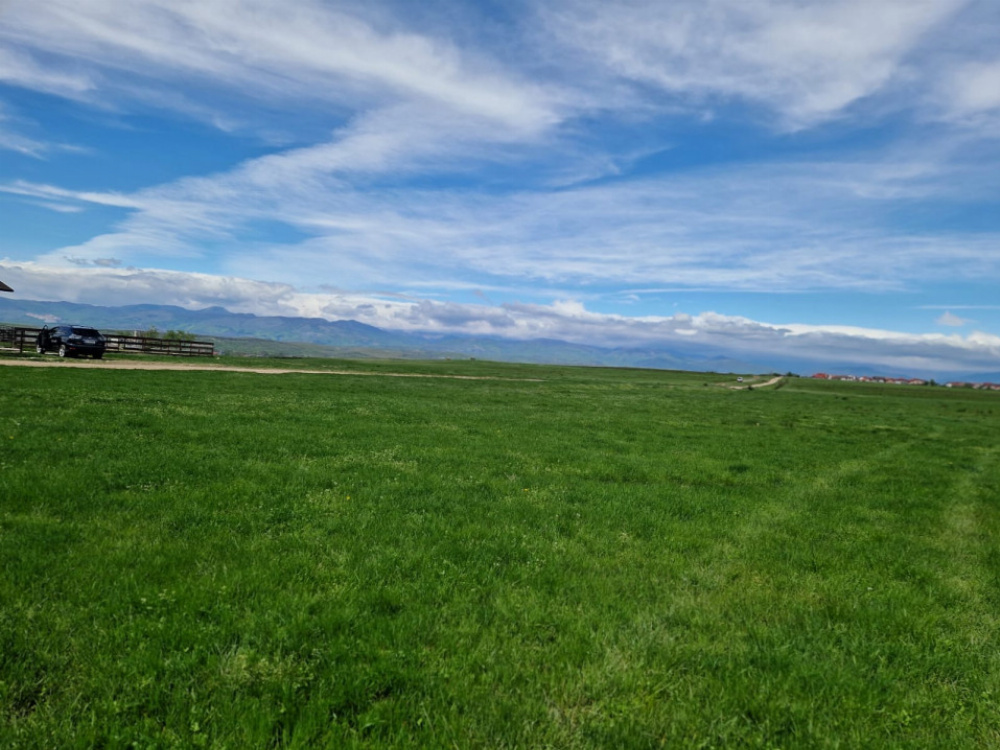 Vânzare teren extravilan 25.254 mp, situat în localitatea componentă Preajba