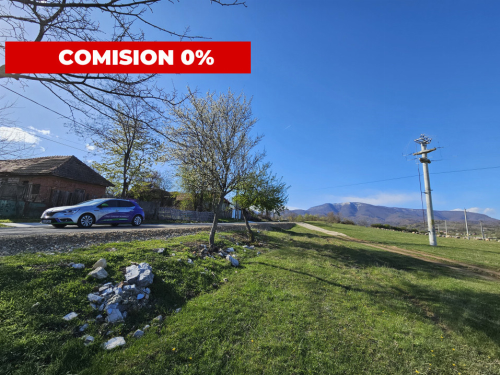 Vânzare teren 4606 mp - Sat Bâlta - Runcu - la aproximativ 20 km de Târgu Jiu