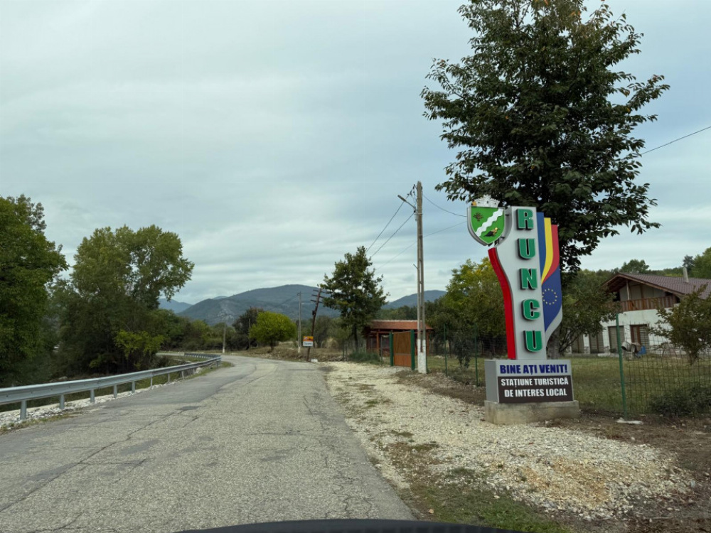 Vânzare teren 13.000 mp - Runcu-Suseni - oportunitate turistică