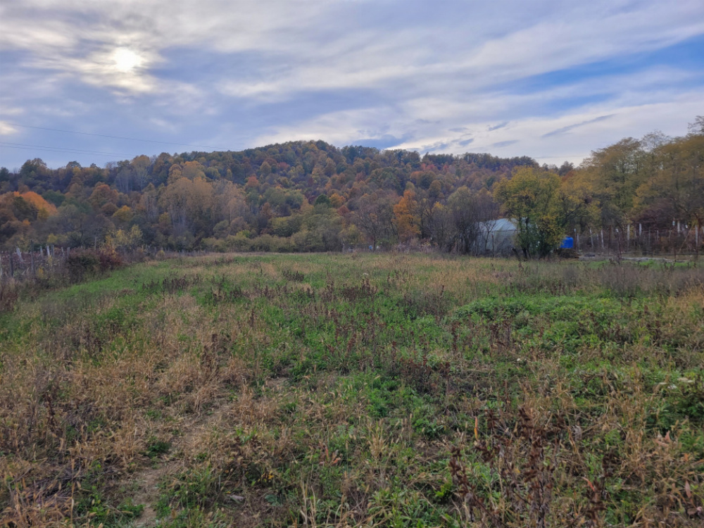 Vânzare teren intravilan, 4967  mp, utilități, sat Rasova, Bălești