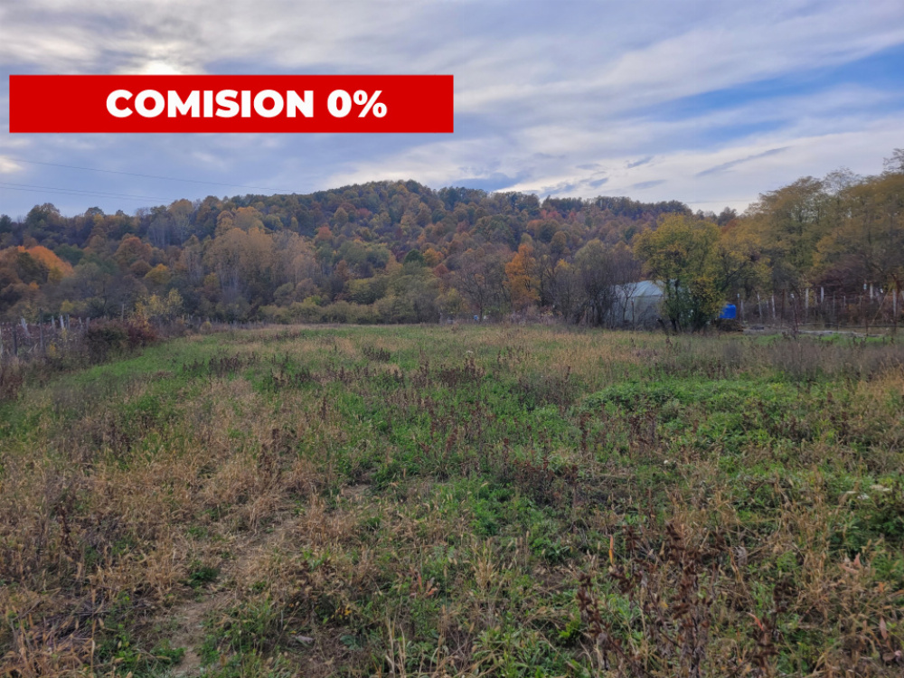 Vânzare teren intravilan, 4967  mp, utilități, sat Rasova, Bălești