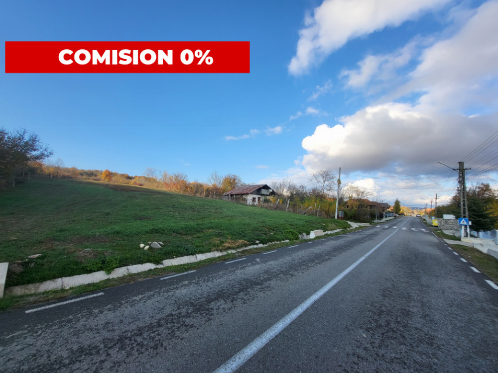 Teren 11.939 mp Bălănești – ideal rezidențial/comercial