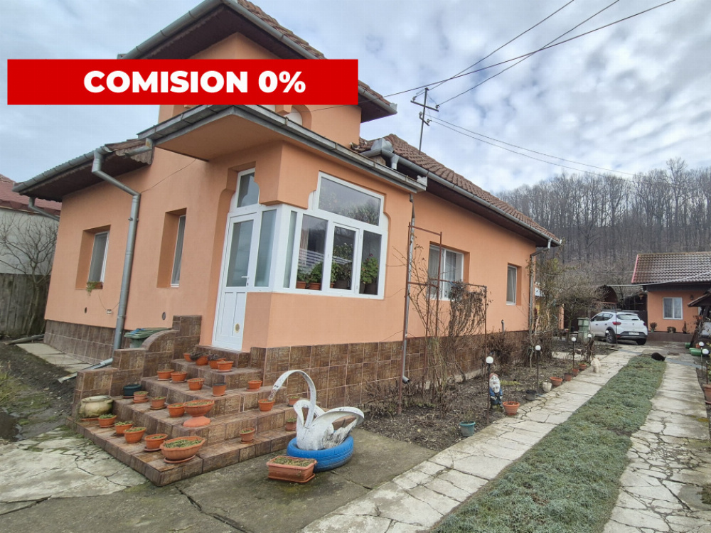 Vânzare proprietate 2 case - teren generos - facilități complete - sat Cârbești