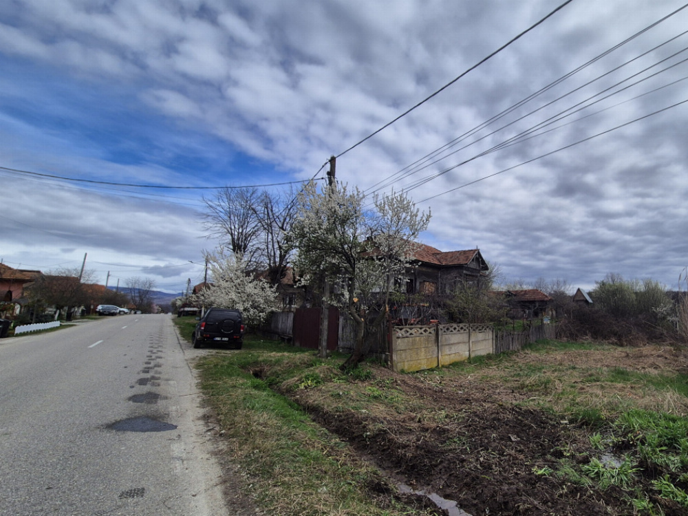 Oportunitate teren 6.504 mp – Curtișoara, la 11 km distanță de Târgu Jiu