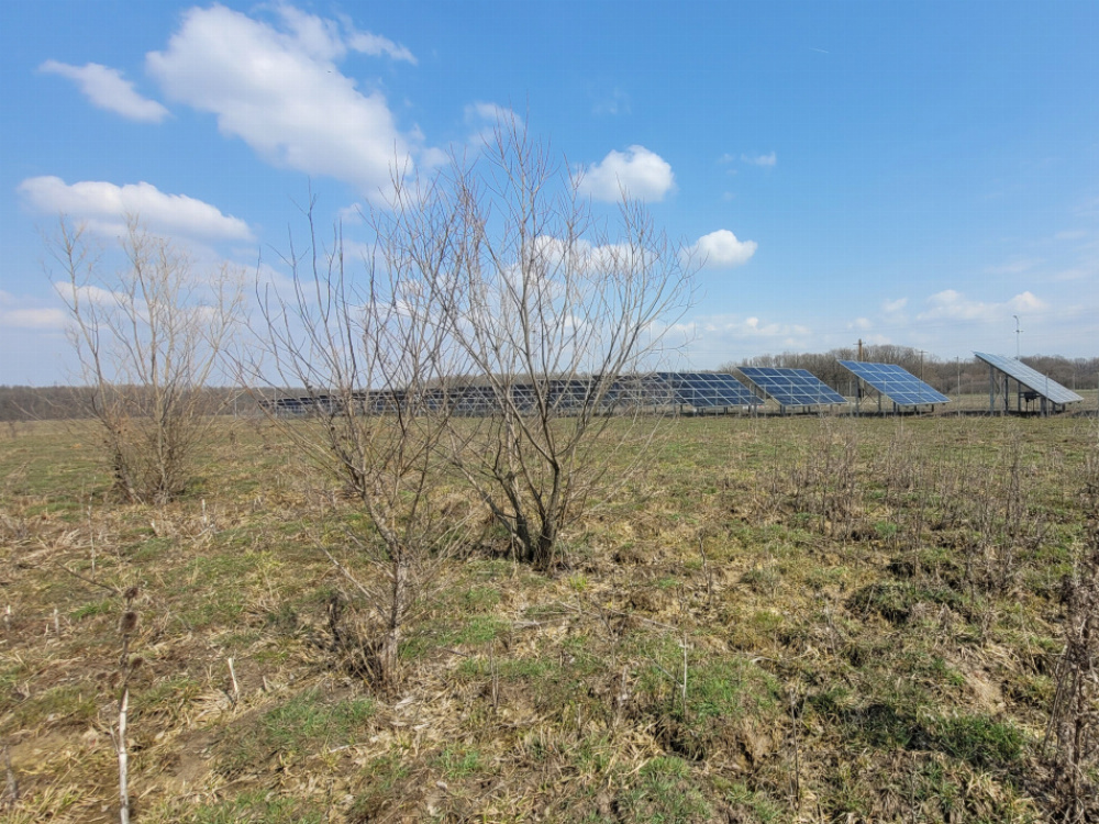 Vânzare teren intravilan, 978 mp, comuna Drăguțești, sat Urechești 