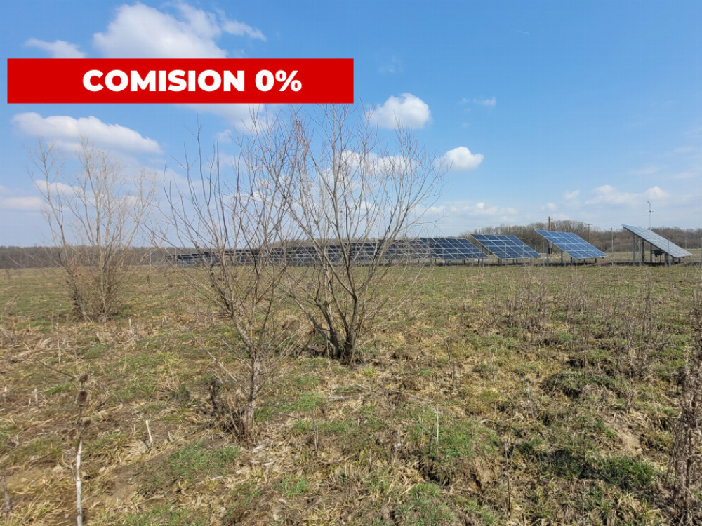 Vânzare teren intravilan, 978 mp, comuna Drăguțești, sat Urechești 