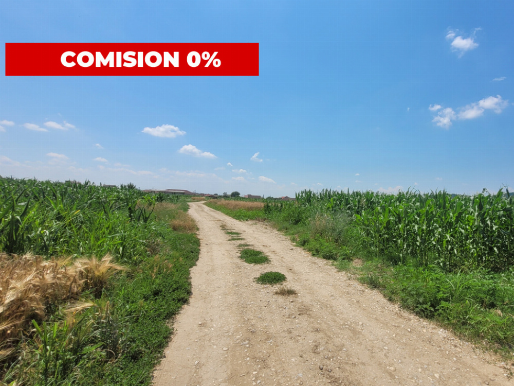 Vânzare teren intravilan, 3504 mp, sat Ceauru, comuna Bălești
